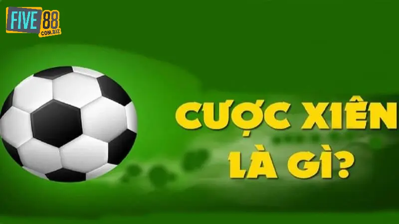 Cược Xâu Five88 Là Gì - Đánh Đâu Thắng Đó, Chốt Lời Nhanh 2 Tìm hiểu khái niệm cược xâu Five88 là gì?
